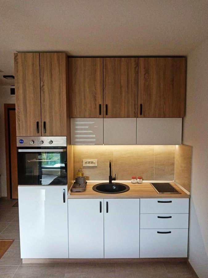 Studio Apartman Gorski Kristal Zlatibor Ngoại thất bức ảnh